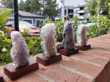 5-7" tall. Pure Grade A Amethyst Cluster on wooden stand from Brazil. 