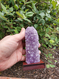 5-7" tall. Pure Grade A Amethyst Cluster on wooden stand from Brazil. 