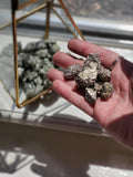 Fool's Gold Chispa Pyrite specimens from Mexico