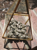 Fool's Gold Chispa Pyrite specimens from Mexico