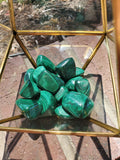 Grade AAA Malachite from Zaire. 1-2 inches. Polished 