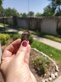 Magnetite aka Magnetic Lodestone