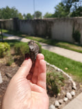 Magnetite aka Magnetic Lodestone