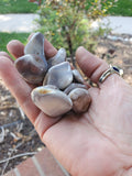 Small 1-2 inch wide Polished Grade AA Pink Lace Agates from Botswana.