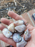 Small 1-2 inch wide Polished Grade AA Pink Lace Agates from Botswana.