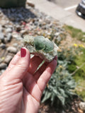 Fluorite Cluster