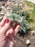 Fluorite Cluster