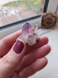 Amethyst Clusters - Veracruz