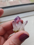 Amethyst Clusters - Veracruz