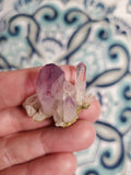 Amethyst Clusters - Veracruz