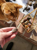 Desert Jasper