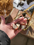 Desert Jasper