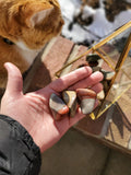 Desert Jasper