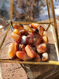  Polished Grade A Carnelian stones from Madagascar.