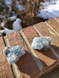 Celestite Clusters