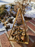 Grade AA polished Petrified Wood from Madagascar 