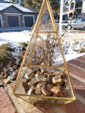 Grade AA polished Petrified Wood from Madagascar 
