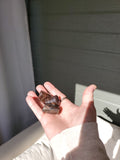 Hand Polished Garnets
