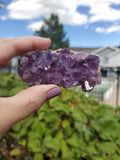Amethyst Cluster-Uruguay