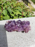 Amethyst Cluster-Uruguay