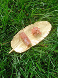 Aragonite Star Cluster